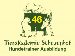 Webinar: Hundetrainerausbildung 46 - Hundeschule für Kinder
