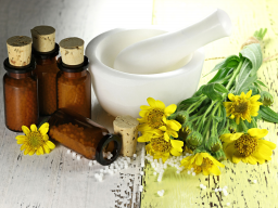 Webinar: Arnica in der Lahmheitstherapie